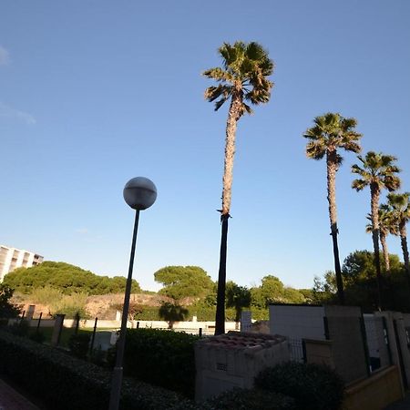 055 Paradise Vacation - Ac/Wifi Apartment La Mata  Exterior photo
