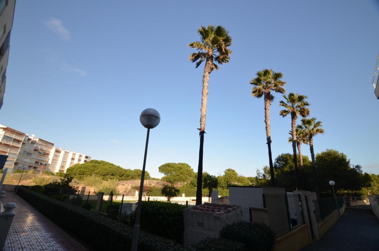 055 Paradise Vacation - Ac/Wifi Apartment La Mata  Exterior photo